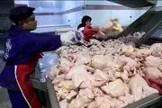 رونمایی از قرعه کشی مرغ در آخرین روز سال 99
