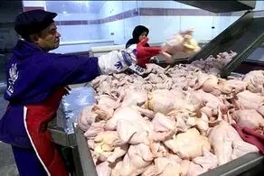 قیمت هر کیلوگرم گوشت مرغ 37 تا 40 هزار تومان