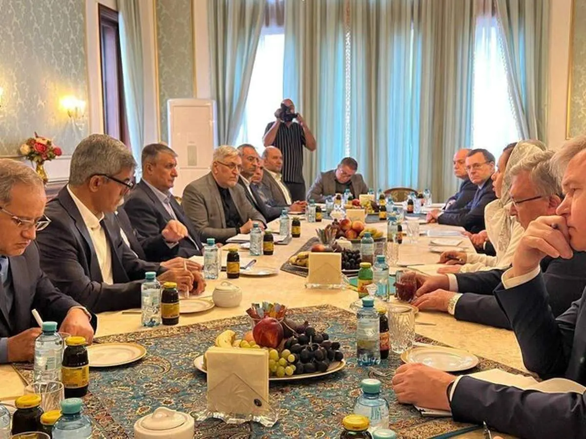 رییس شرکت دولتی روس اتم با رییس سازمان انرژی اتمی دیدار کرد
