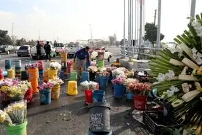 بازداشت گل فروش میلیاردر بهشت زهرا