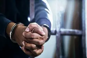 دکتر دلار در تهران بازداشت شد