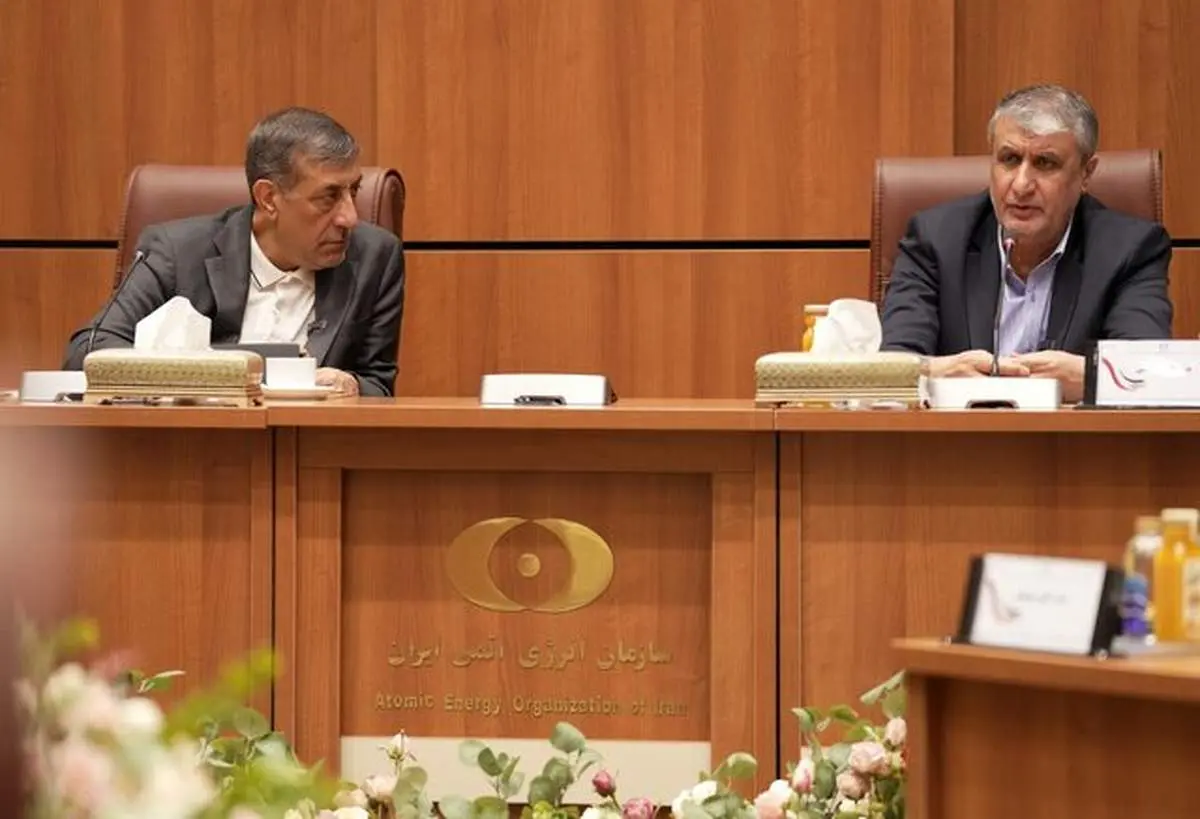 اسلامی: مقابله با تحریف‌های دشمن نیازمند اقدام و عمل واقعی در صنعت هسته‌ای است