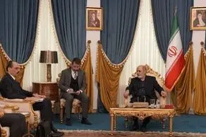 رایزنی رئیس دستگاه امنیتی ترکیه و احمدیان درباره مسائل دوجانبه و منطقه‌ای