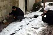 بارش امروز برف رکورد سال 97 را زد + عکس