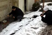 بارش امروز برف رکورد سال 97 را زد + عکس