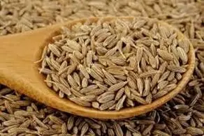 تاثیر عجیب این عصاره بر کاهش درد