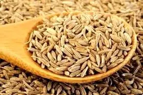 تاثیر عجیب این عصاره بر کاهش درد