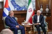 محمدرضا عارف با نخست وزیر کوبا دیدار کرد 
