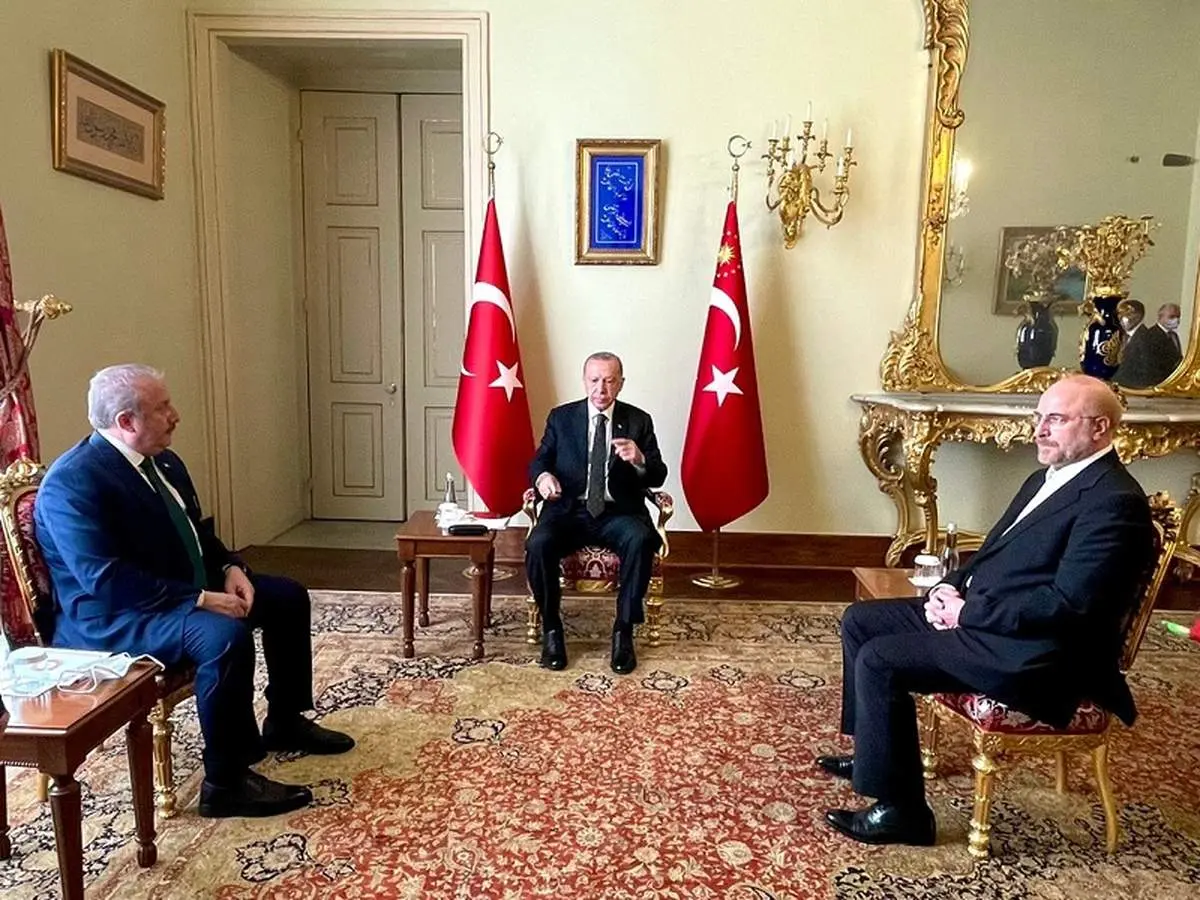 تاکید قالیباف و اردوغان بر توسعه روابط دو کشور
