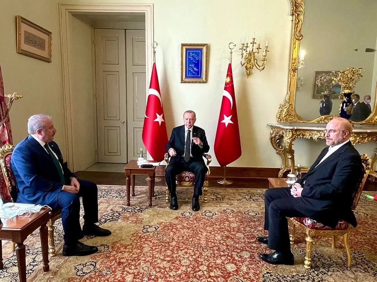 تاکید قالیباف و اردوغان بر توسعه روابط دو کشور