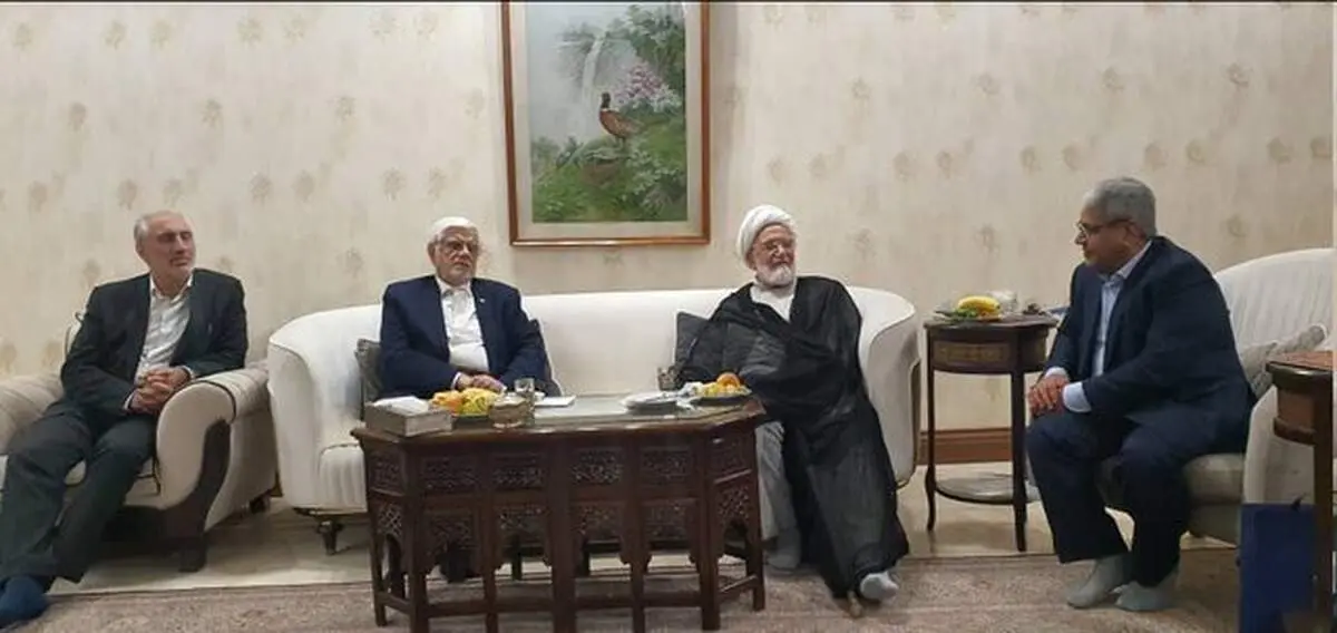 عارف با کروبی دیدار کرد