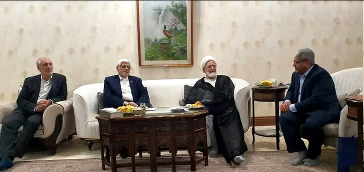 عارف با کروبی دیدار کرد