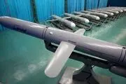 موشک بالستیک با کروز چه تفاوتی دارد؟ + ببینید 