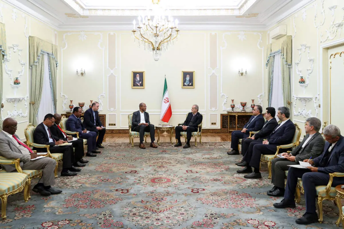 بریکس می‌تواند الگوی ارتباطی نوینی برای تقویت همکاری‌های کشورهای عضو ارائه دهد