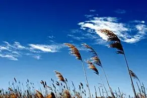 طوفان جان ۱۱ نفر را گرفت
