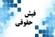 ماجرای فیش حقوقی جنجالی فرزند دهه هشتادی عضو شورای شهر تهران چه بود؟