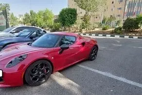 ۶۶ خودروی لاکچری که در اندرزگو دور دور می‌کردند توقیف شدند+ عکس