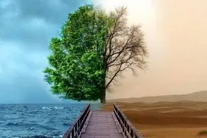 راه‌های آگاه شدن از احوال اموات در برزخ چیست؟