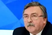 توییت تازه اولیانوف درباره احیای برجام