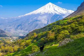 بهترین مکان برای کمپینگ اطراف تهران کجاست؟