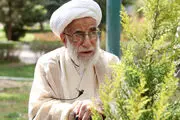 آیت الله جنتی برای مجلس خبرگان ثبت نام کرد یا خیر؟ 