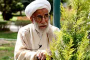 آیت الله جنتی برای مجلس خبرگان ثبت نام کرد یا خیر؟ 