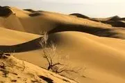 ماجرای مفقود شدن ۸ نفر در کویر دامغان