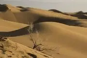 ماجرای مفقود شدن ۸ نفر در کویر دامغان