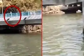 خودکشی دختر نوجوان به خاطر استرس امتحان