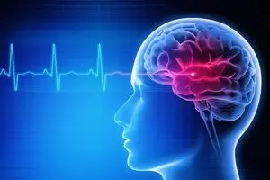 راهکارهایی برای پیشگیری از سرعت پیری مغز