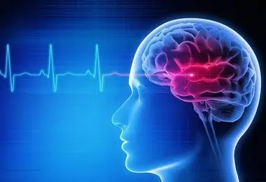 رابطه محدود کردن ساعات غذا خوردن با زوال عقل در سنین بالاتر چیست؟
