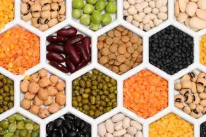 قیمت حبوبات در بازار امروز چهارشنبه۲۴ اردیبهشت ۱۴۰۴/ لوبیاچیتی چند شد؟ + جدول