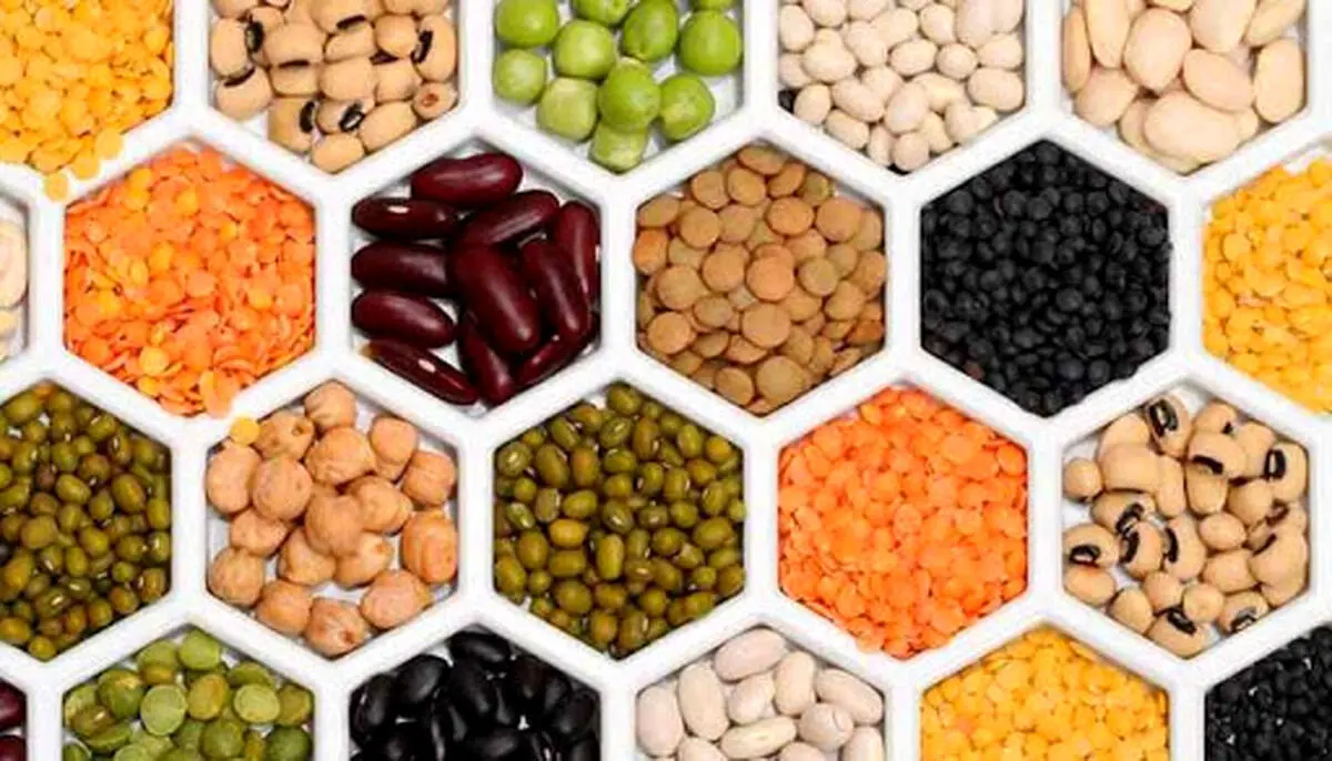 قیمت حبوبات در بازار امروز چهارشنبه۲۴ اردیبهشت ۱۴۰۴/ لوبیاچیتی چند شد؟ + جدول
