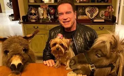 افشای حیوانات خانگی افراد معروف غوغا به پا کرد