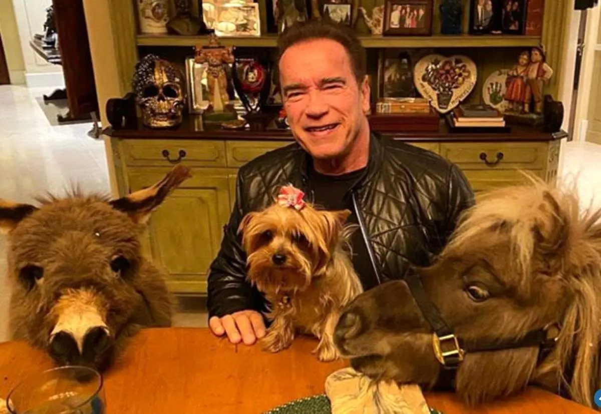 افشای حیوانات خانگی افراد معروف غوغا به پا کرد