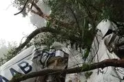 هواپیمای آموزشی سقوط کرد!+جزییات