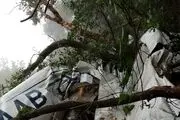 هواپیمای آموزشی سقوط کرد!+جزییات