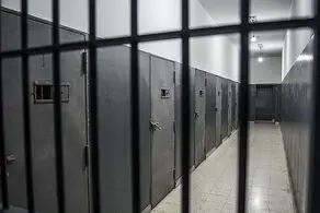 طنزپرداز معروف هم به حبس محکوم شد