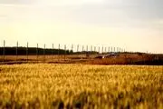سرنگونی هواپیمای سبک مسافربری در سوئد