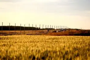 سرنگونی هواپیمای سبک مسافربری در سوئد