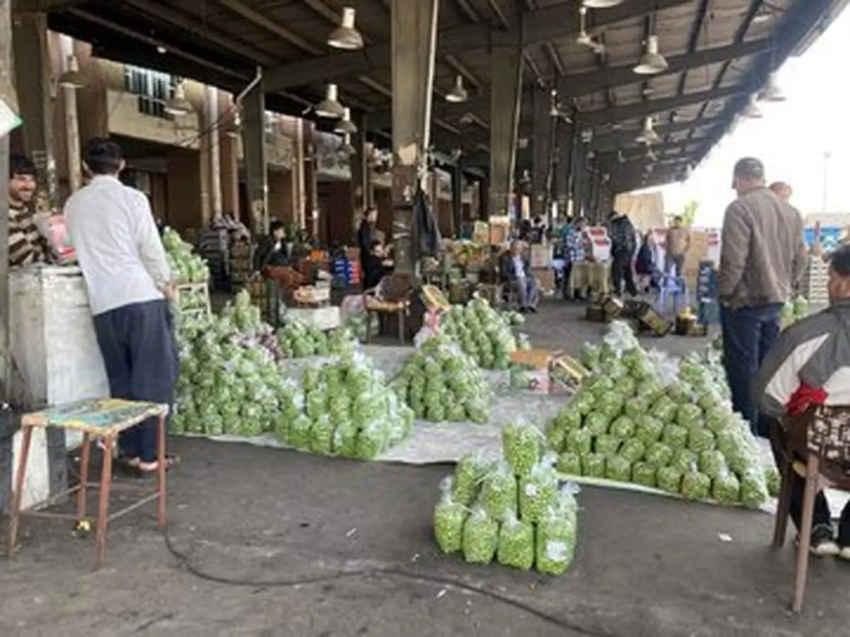 میوه‌های نوبرانه را این‌جا ارزان بخرید/ جزییات