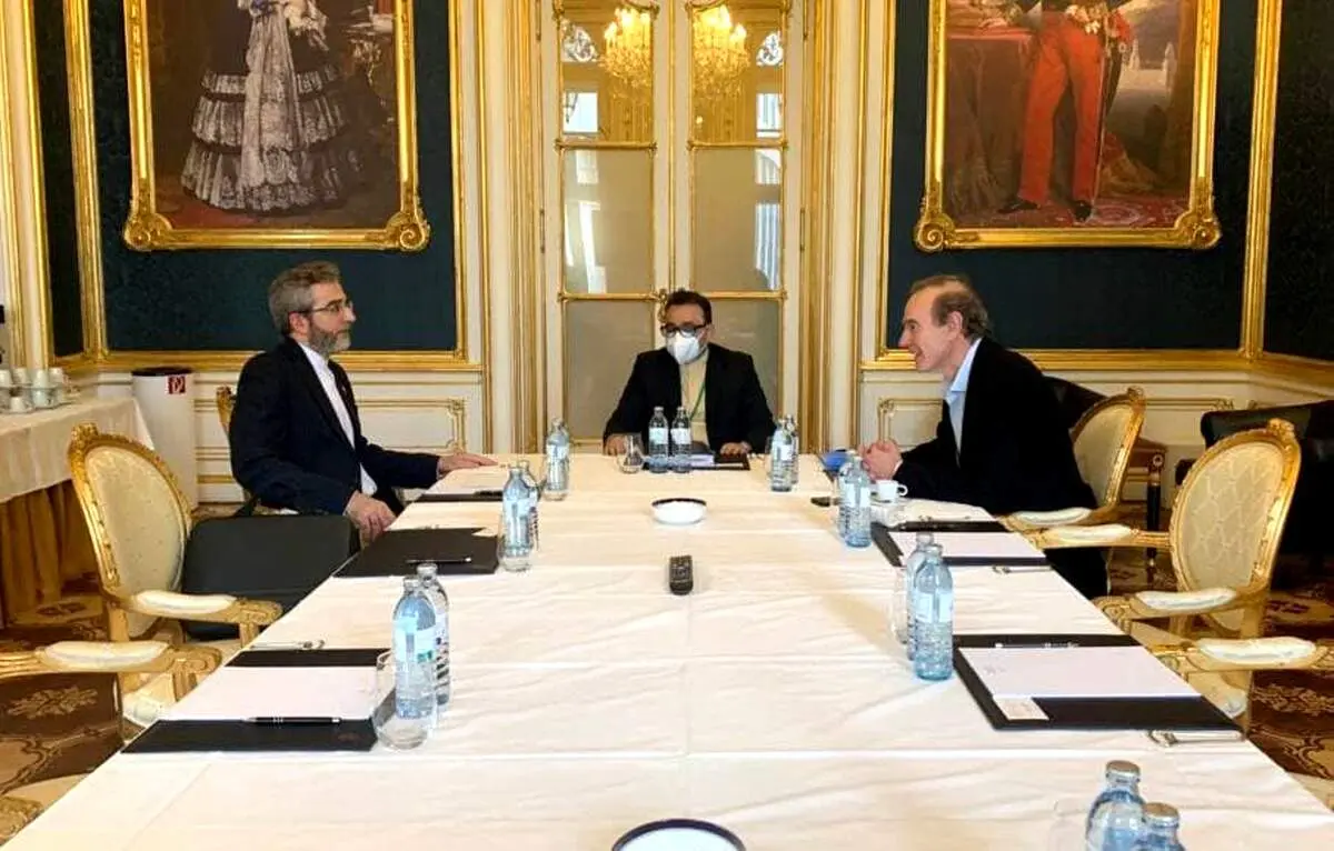 ادامه رایزنی ها در وین/ باقری با اولیانوف دیدار کرد