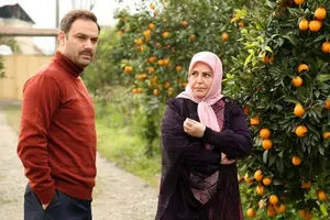  دورهمی سه بازیگر سریال ستایش بعد از سالها کنار هم/ عکس