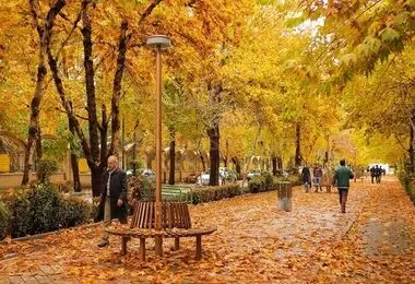 جادویِ نارنگی در فصلِ پاییز