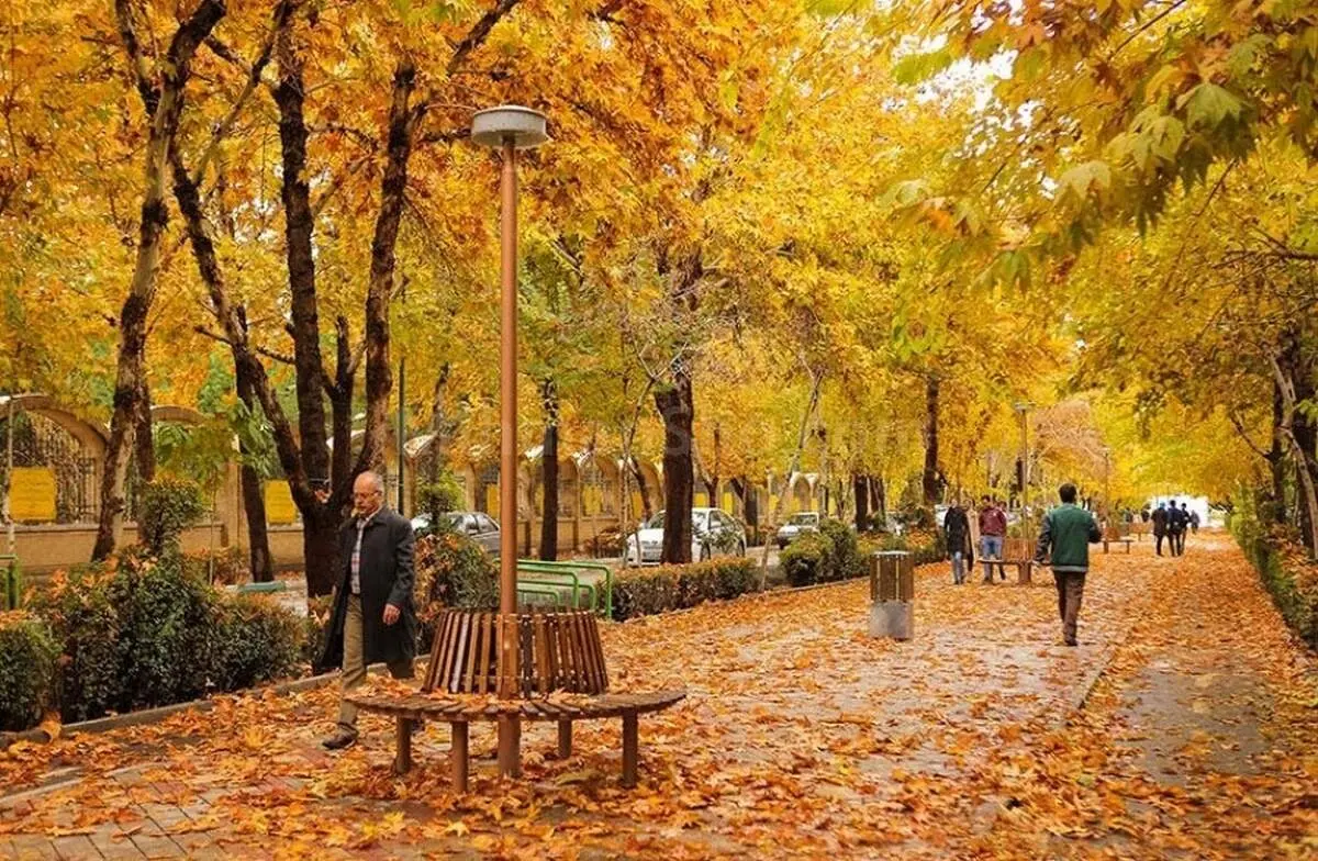 جادویِ نارنگی در فصلِ پاییز