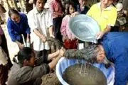 شستن کثیف‌ترین موی دنیا بعد از 26 سال!+عکس