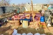 کشف باورنکردنی کشتارگاه اسب و الاغ در اسلامشهر/ این گوشت‌ها را به خورد مردم می‌دادند! + عکس