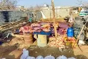 کشف باورنکردنی کشتارگاه اسب و الاغ در اسلامشهر/ این گوشت‌ها را به خورد مردم می‌دادند! + عکس