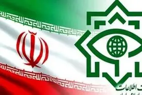 وزارت اطلاعات بیانیه داد 