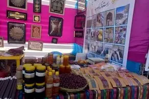 این روستای ایران بیکار ندارد!